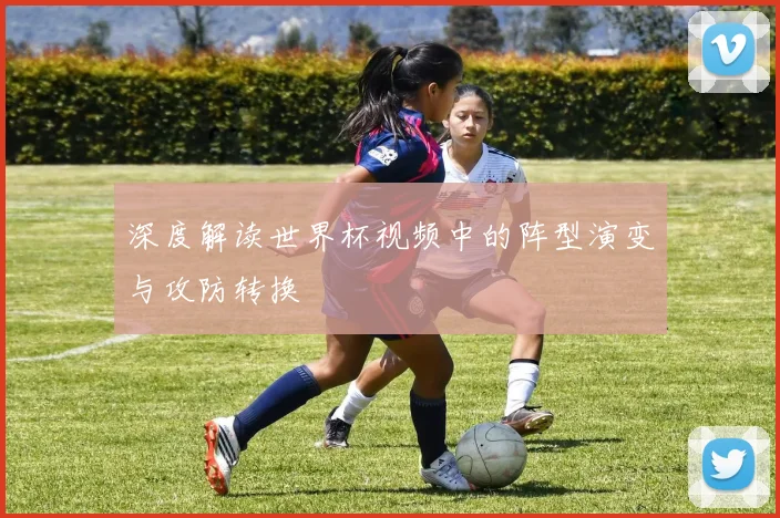 深度解读世界杯视频中的阵型演变与攻防转换
