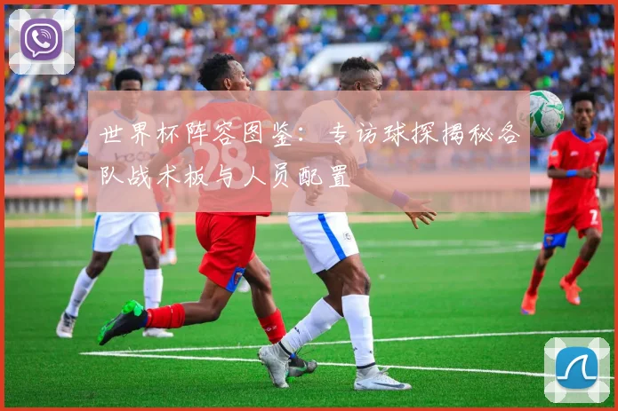 世界杯阵容图鉴：专访球探揭秘各队战术板与人员配置
