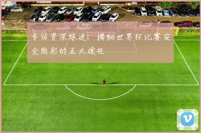 专访资深球迷：揭秘世界杯比赛安全购彩的五大途径