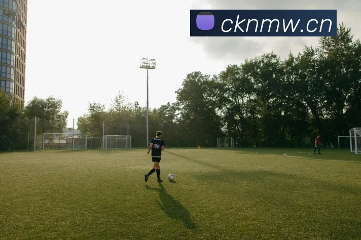 App Interface Preview