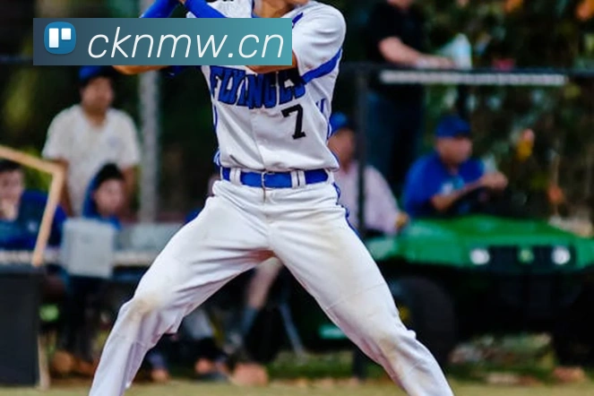 星空体育平台入口APP 封面图